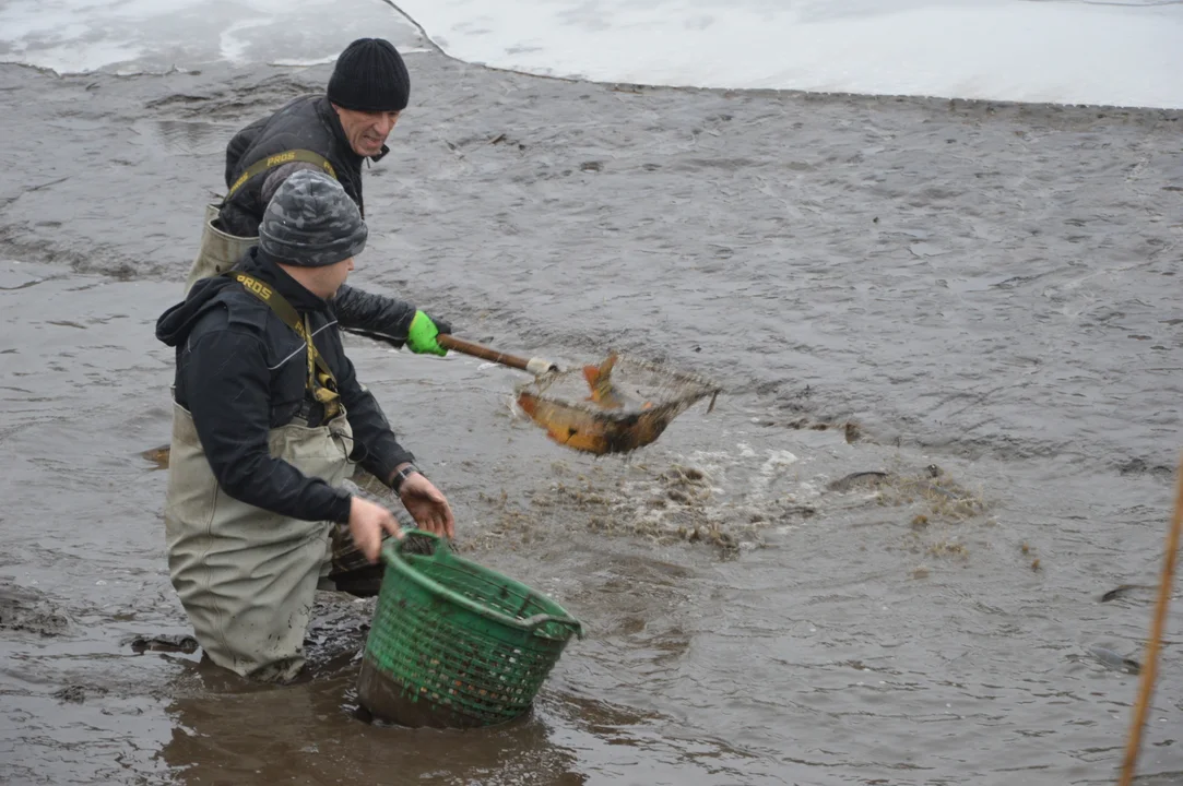 Gospodarstwo rybackie "Karp z Borowa"