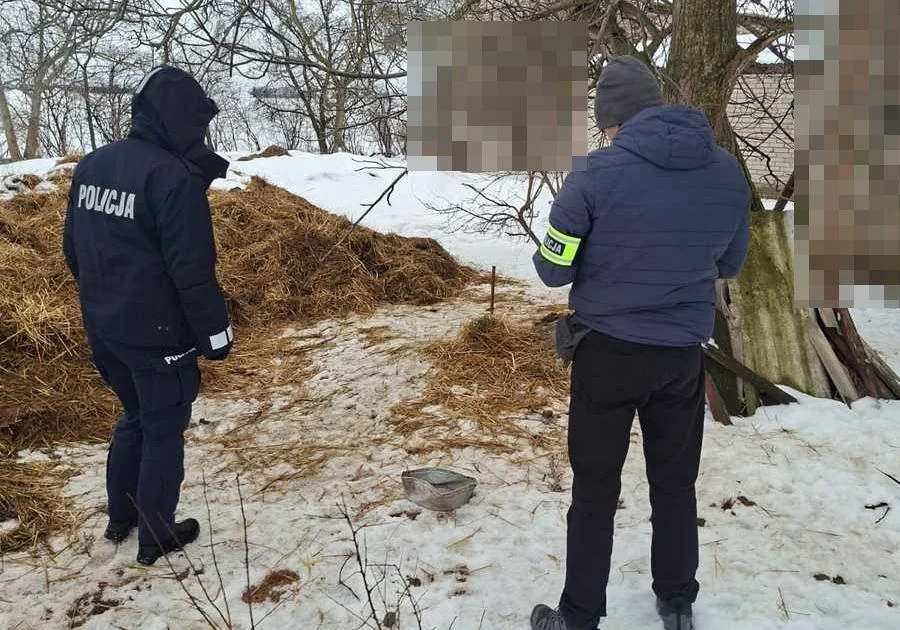 Policja weszła na posesję. Małżonkowie znęcali się nad zwierzętami? - Zdjęcie główne