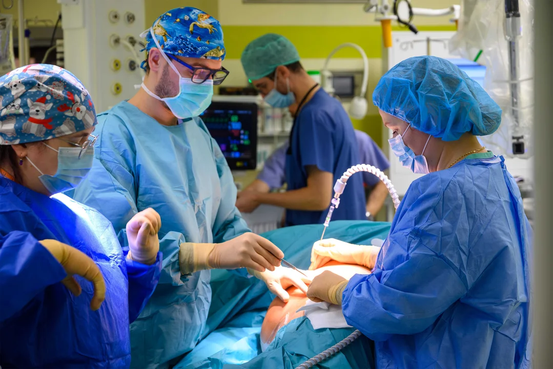 Precyzja robota, ekspresowy powrót do domu. W COZL da Vinci usunął olbrzymią śledzionę i guz - Zdjęcie główne