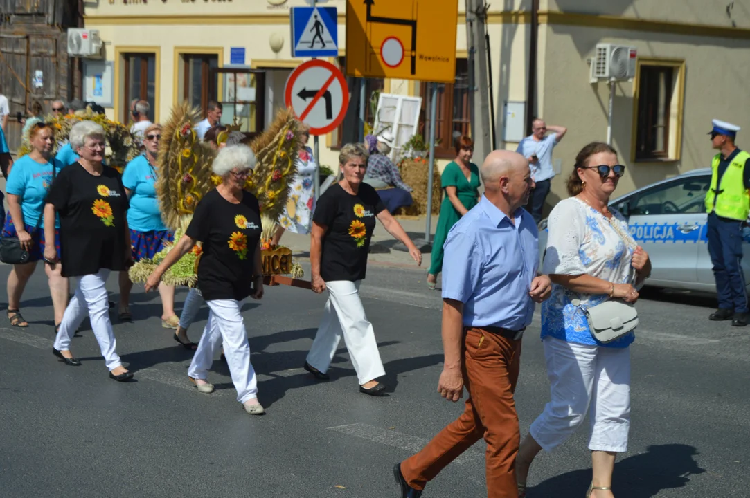 Dożynki powiatowe 2024 w Wąwolnicy