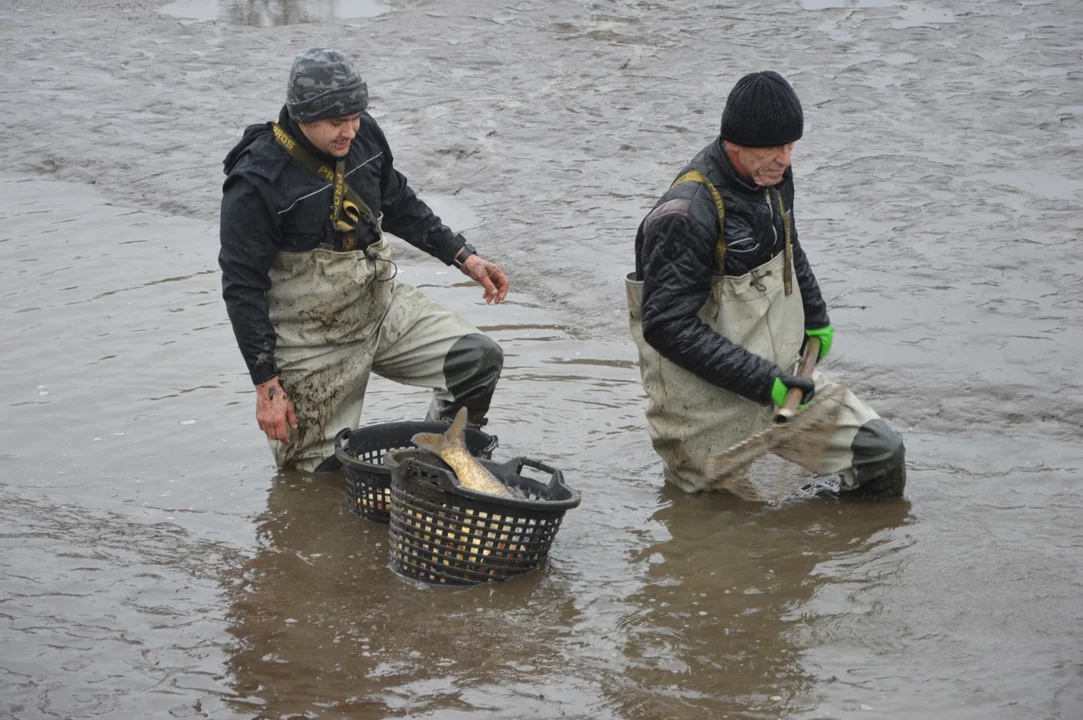 Gospodarstwo rybackie "Karp z Borowa"