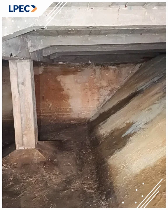 "A to odkrycie!" w centrum Lublina. Natrafili na nie pracownicy LPEC