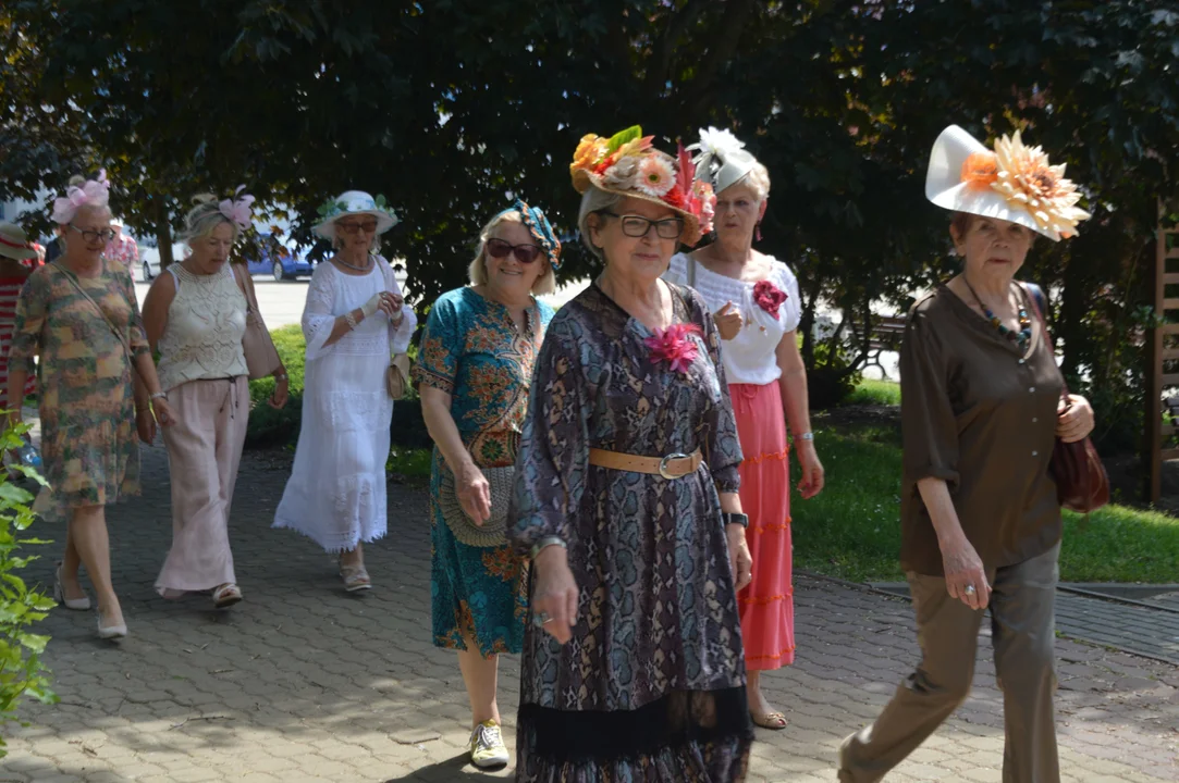 Parada kapeluszy w Puławach