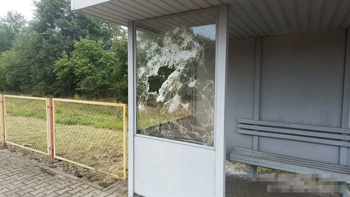 Powiat bialski: Uszkodził przystanek, bo się zdenerwował. Miał cudze dokumenty