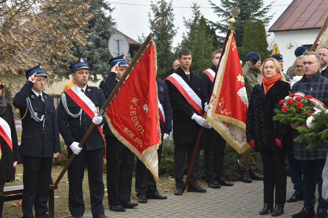 Obchody 11 listopada w Puławach