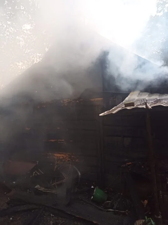 Pożar w Annopolu w gminie Kock. Palił się drewniany pustostan (zdjęcia) - Zdjęcie główne