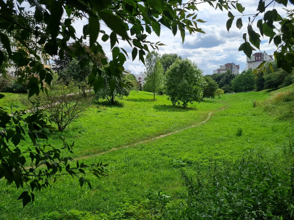 Lublin: Urządzą Polanę Centralną na Czechowie. Umowa już podpisana