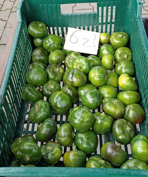 Targ w Lubartowie 14 października