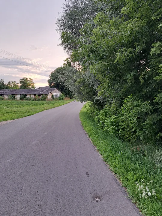 Zarośnięte pobocza przy drodze gminnej w Wólce Komaszyckiej