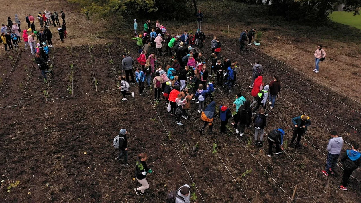 Sprzątanie w ramach akcji "Czysta Polska"