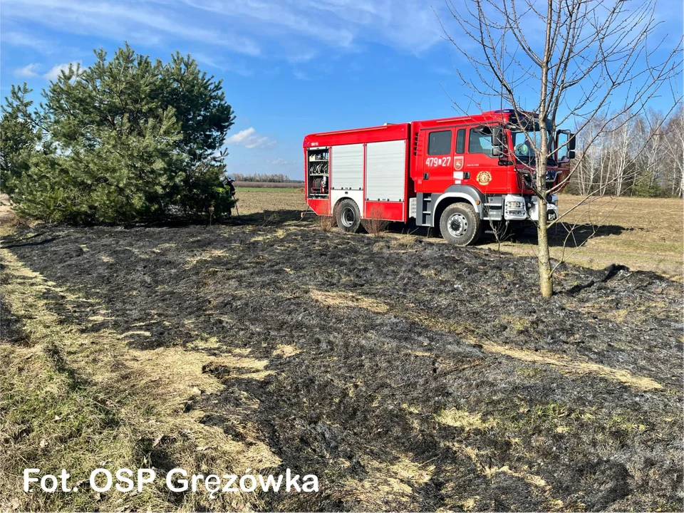 Paliły się trawy w Gręzówce - Zdjęcie główne