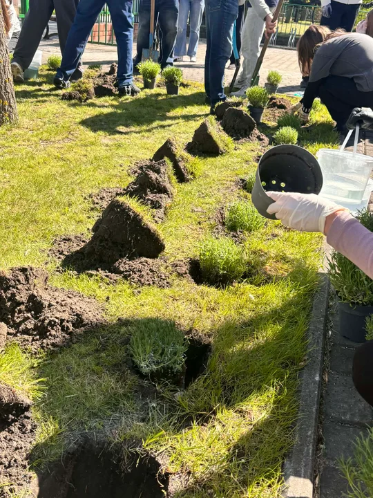 Dzień Ziemi w II LO