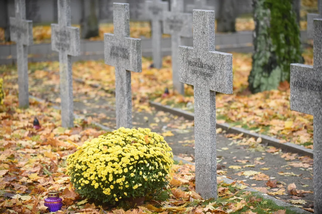 Groby nieznanych żołnierzy, cmentarz wojskowy