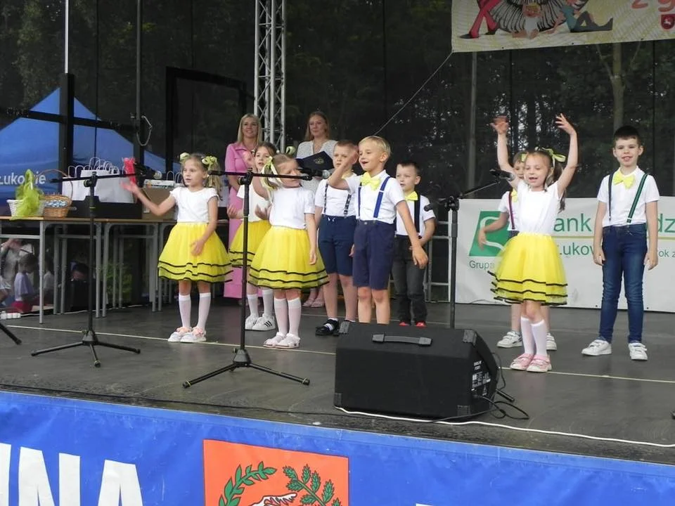 Festyn w Gołaszynie