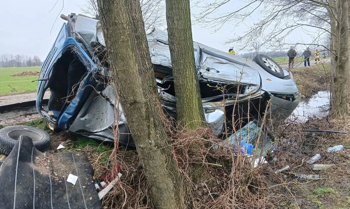 Powiat radzyński: Pijany kierowca roztrzaskał auto na drzewie - Zdjęcie główne
