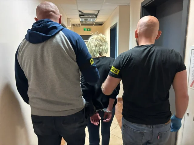 Lubelskie: Jedna kontrola drogowa, 3 osoby zatrzymane. Kobieta była poszukiwana, miała narkotyki, a w domu amunicję