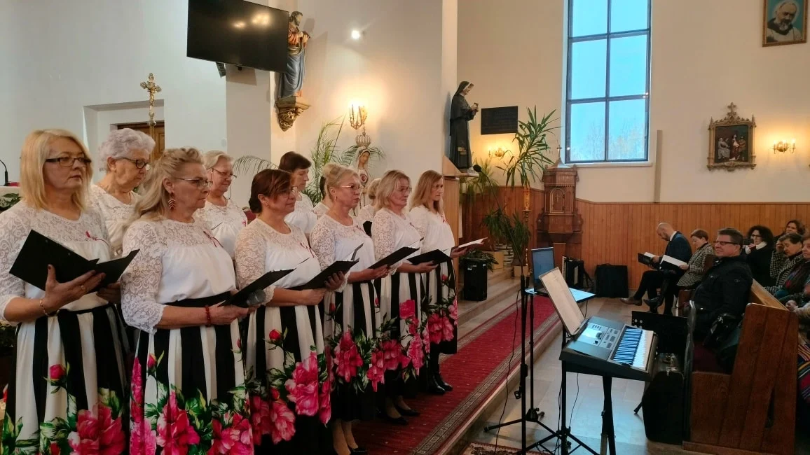 11listopada gmina Łuków