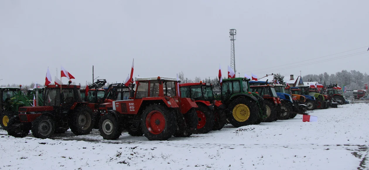 Protest w Łucce