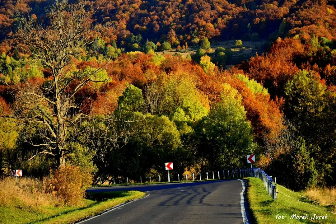 Jesień w Bieszczadach. Niezwykłe pejzaże i feeria barw. Zobacz przepiękne zdjęcia [GALERIA] - Zdjęcie główne