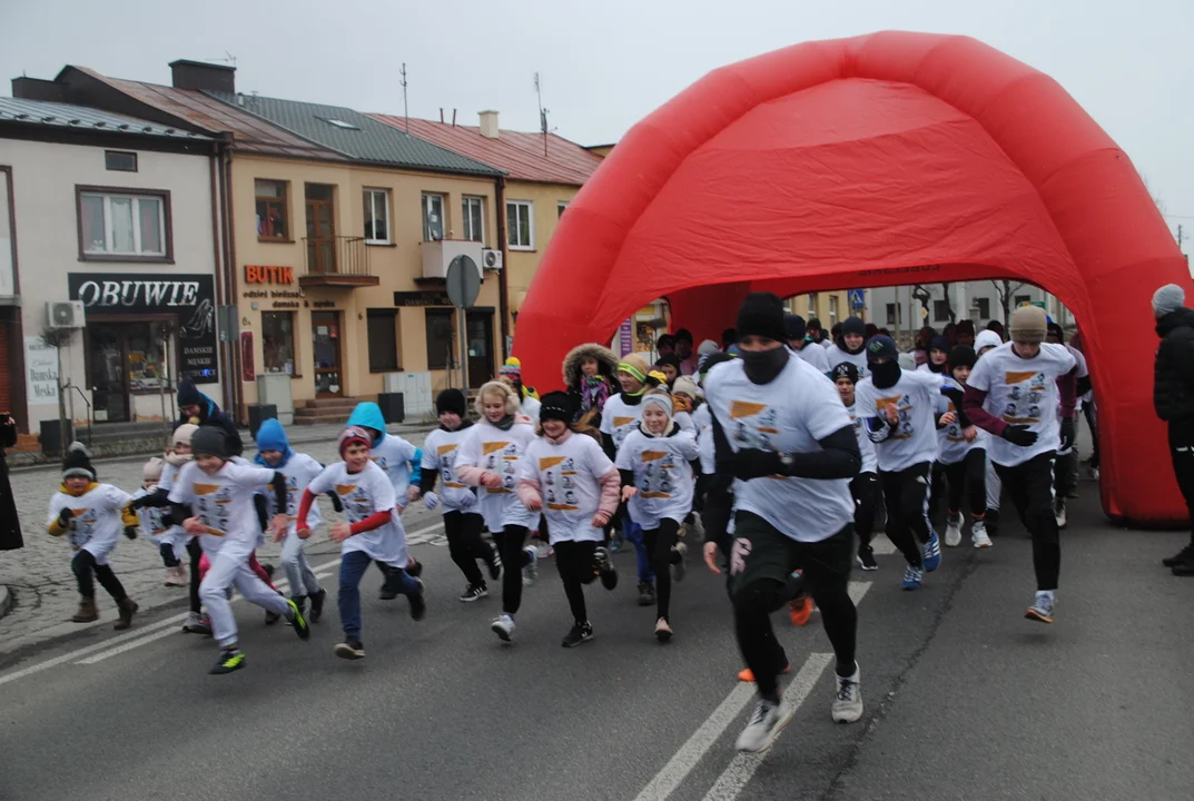 Opole Lubelskie: Pobiegli Tropem Wilczym (ZDJĘCIA) - Zdjęcie główne