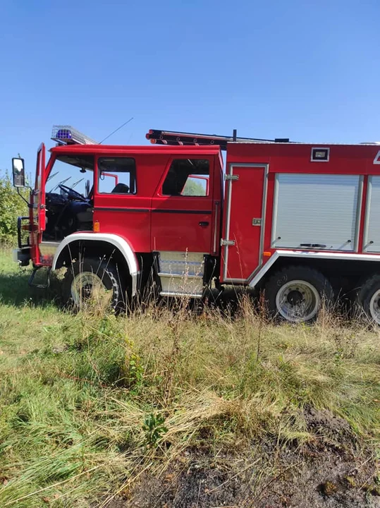 Gmina Adamów. Pożar nieużytków w Kalinowym Dole