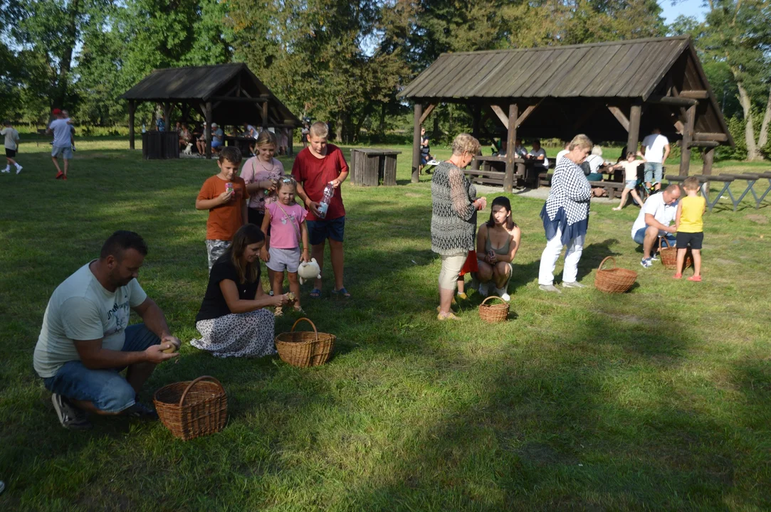 Święto Ziemniaka w Kośminie