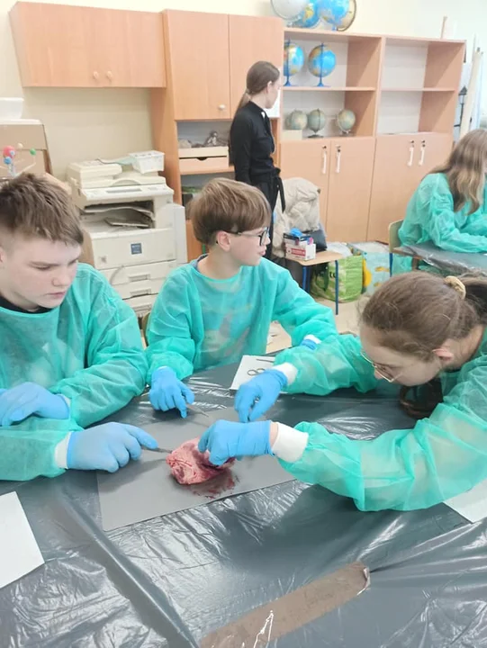 Młodzi „chirurdzy” z Fiukówki w akcji! (zdjęcia) Zrobili sekcję świńskiego serca - Zdjęcie główne