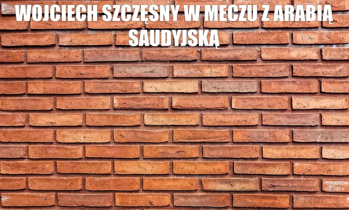 Mundial 2022: Najlepsze memy po meczu Polska - Arabia Saudyjska
