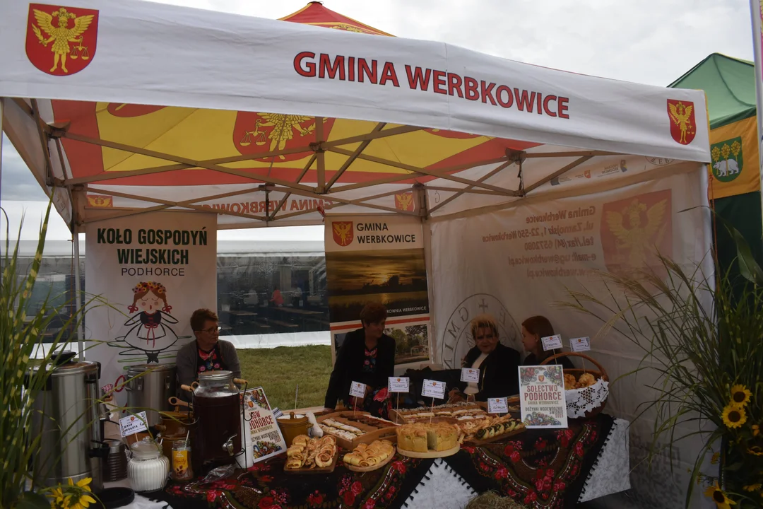 Dożynki Wojewódzkie w Świdniku. Wielkie święto plonów i tradycji [ZDJĘCIA CZ. 2]