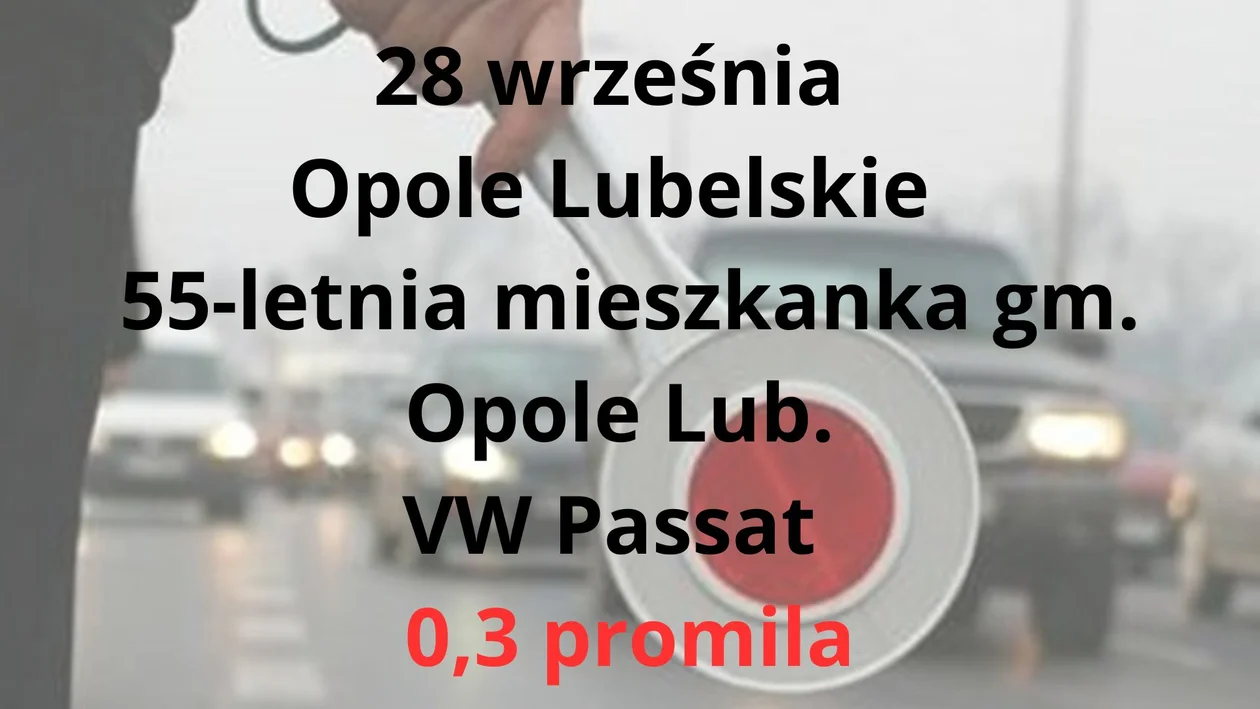 Kierowcy z promilami - powiat opolski