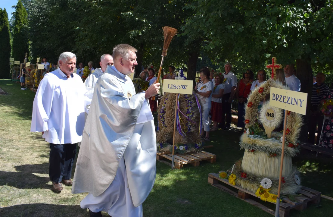 Dożynki w Rokitnie - msza święta i korowód dożynkowy (zdjęcia) - Zdjęcie główne