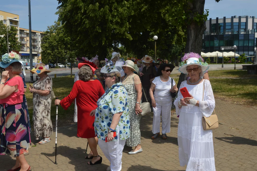 Parada kapeluszy w Puławach