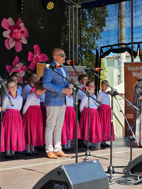 Dni Wąwolnicy - II Dzień (galeria)
