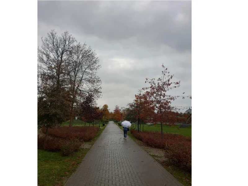 Łuków w obiektywie uczniów ZS nr 2 w Łukowie