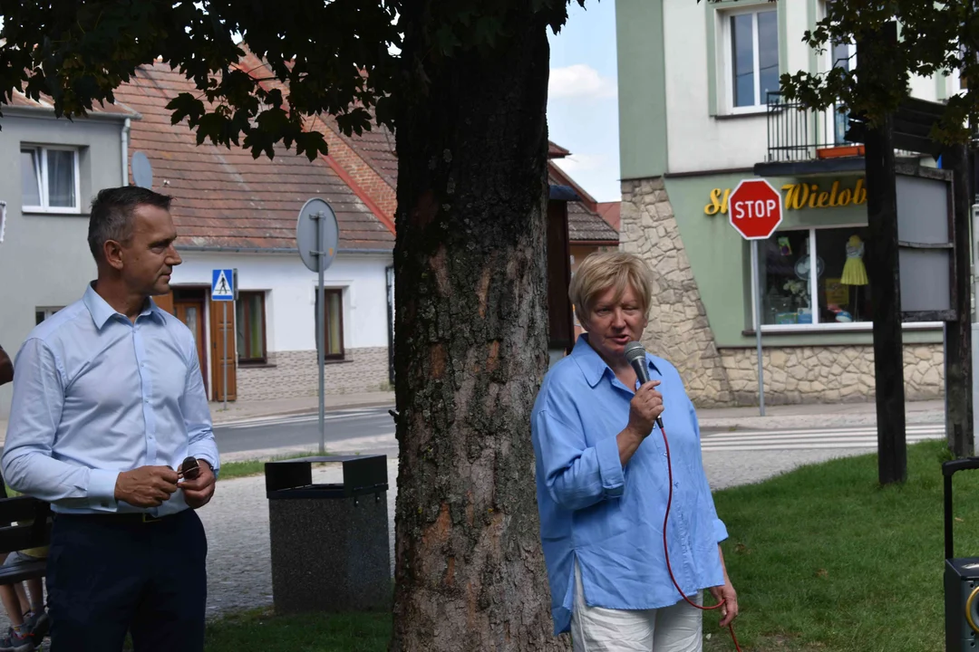 Tak mogłaby wyglądać Wąwolnica