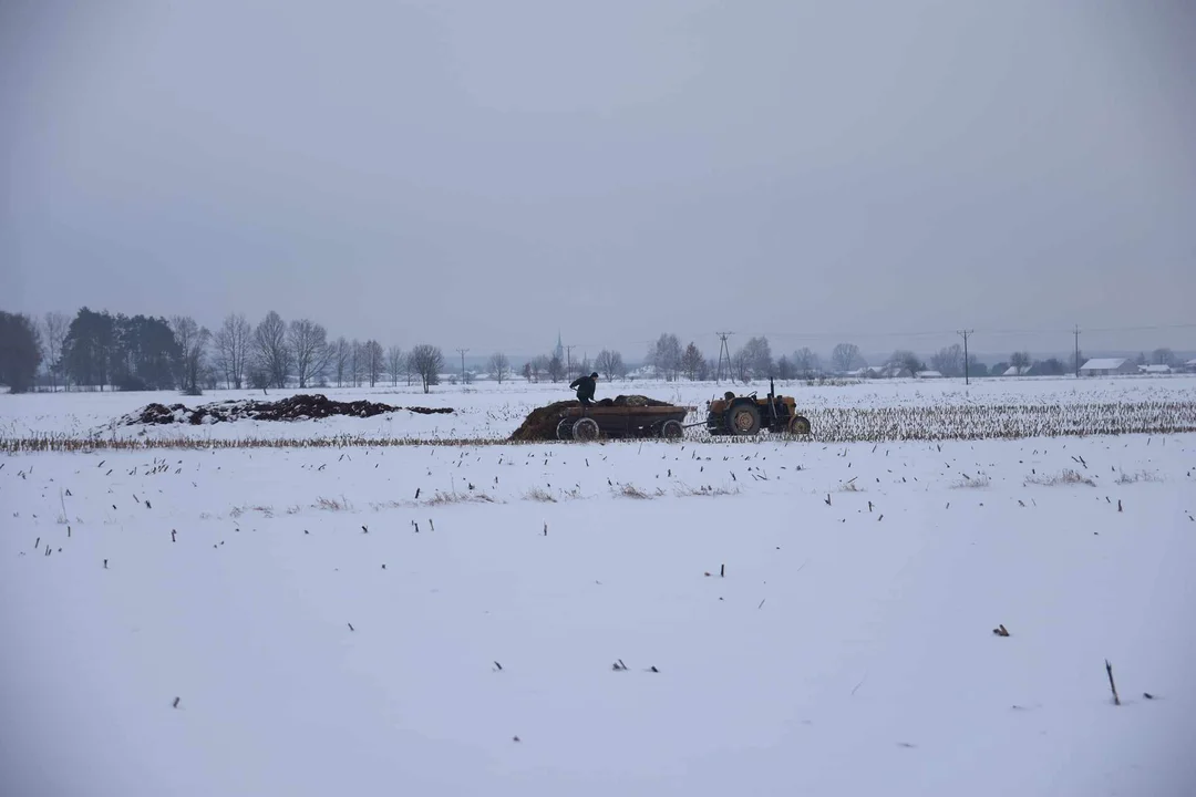 Strzelnica przy ZS w Radoryżu Smolanym rośnie jak na drożdżach