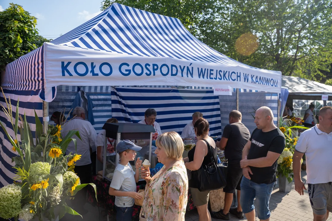 Przystań smaku i kultury 2026 II