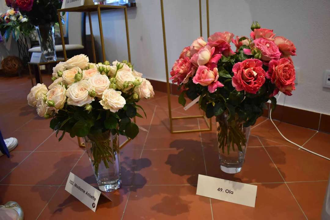 Święto Róż w Końskowoli (galeria) - Zdjęcie główne