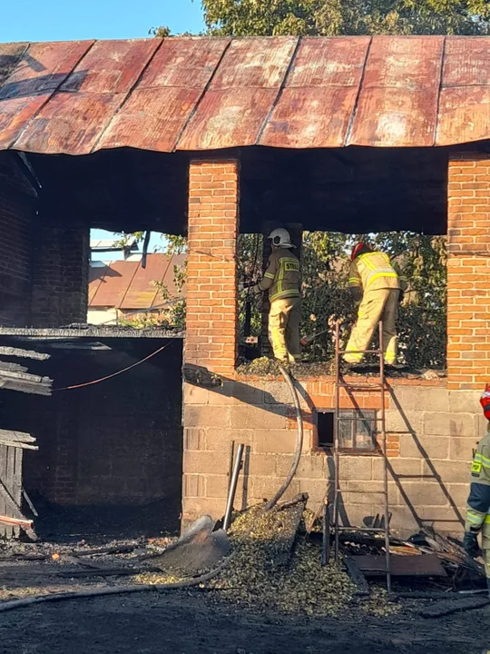 Pożar suszarni chmielu w Szczekarkowie