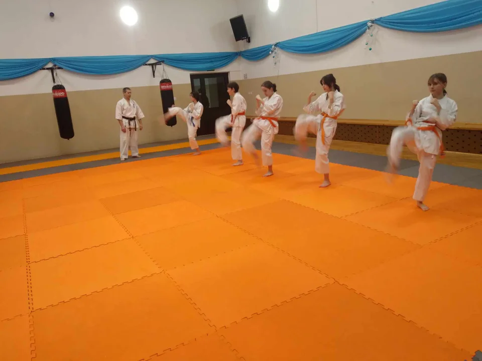 karate Zalesie