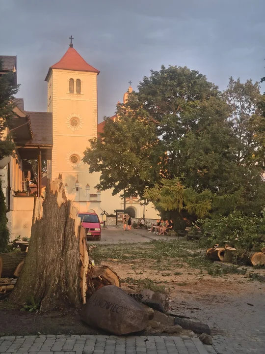 Burza nie oszczędziła Janowca. Potężny jesion runął na rynku (FOTO) - Zdjęcie główne