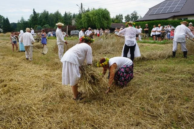 Żniwa w Bronicach