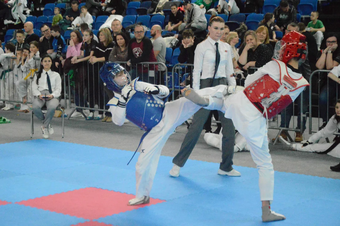 400 zawodników z kraju wzięło udział w Otwartych Mistrzostwach Puław w Taekwondo Olimpijskim