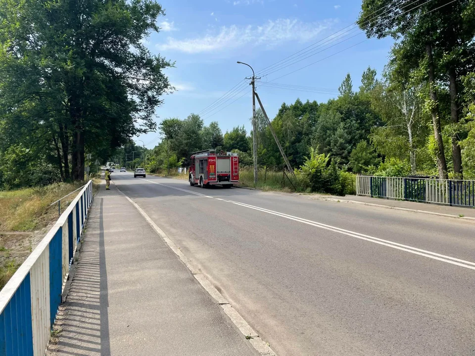 Złamane drzewo   nad rzeką Świder w Stoczku Łukowskim