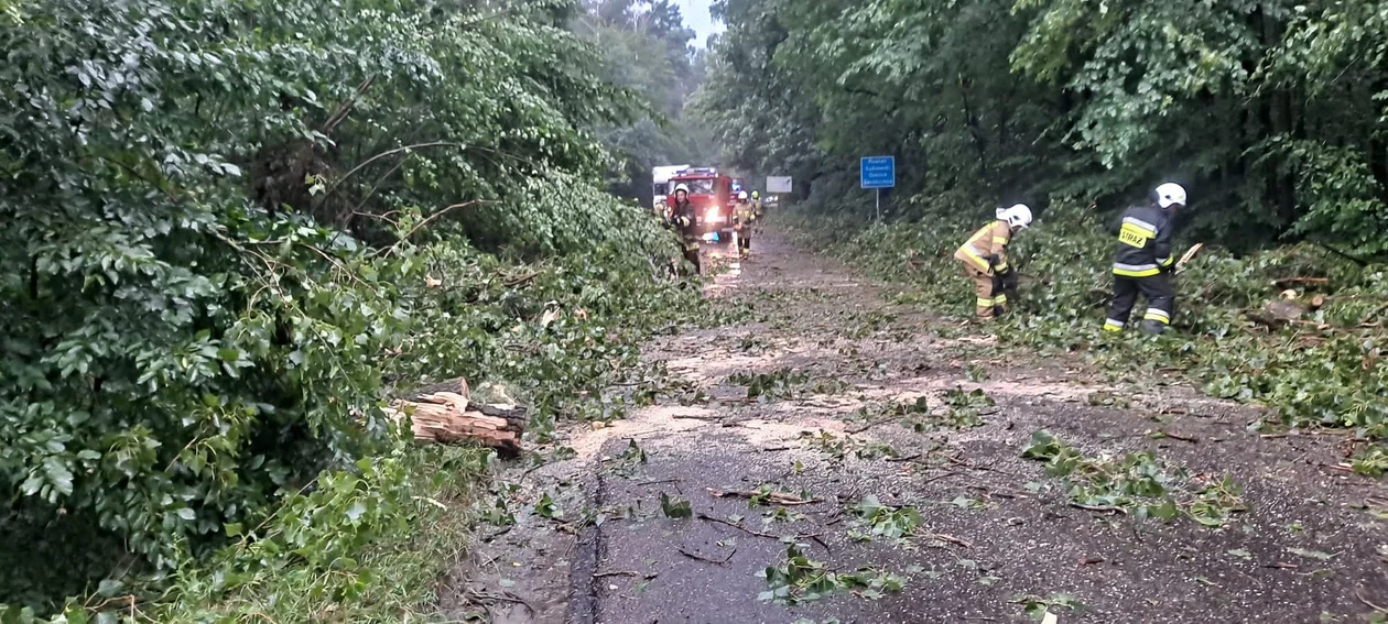 Strażacy z Charlejowa usuwali powalone drzewa