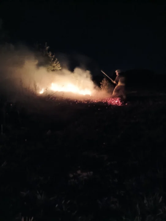 Powiat łukowski: Pożar traw i zarośli. Strażacy w akcji