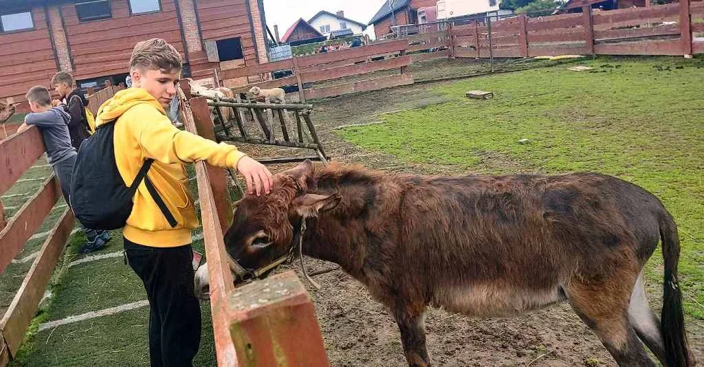 Obóz „W harcerskim żywiole” w Zarzeczu