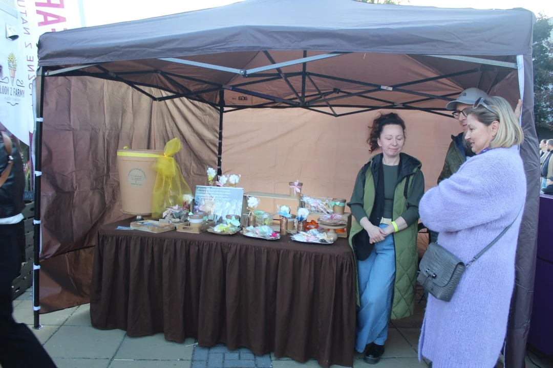 Piknik Nadwiślański w Puławach