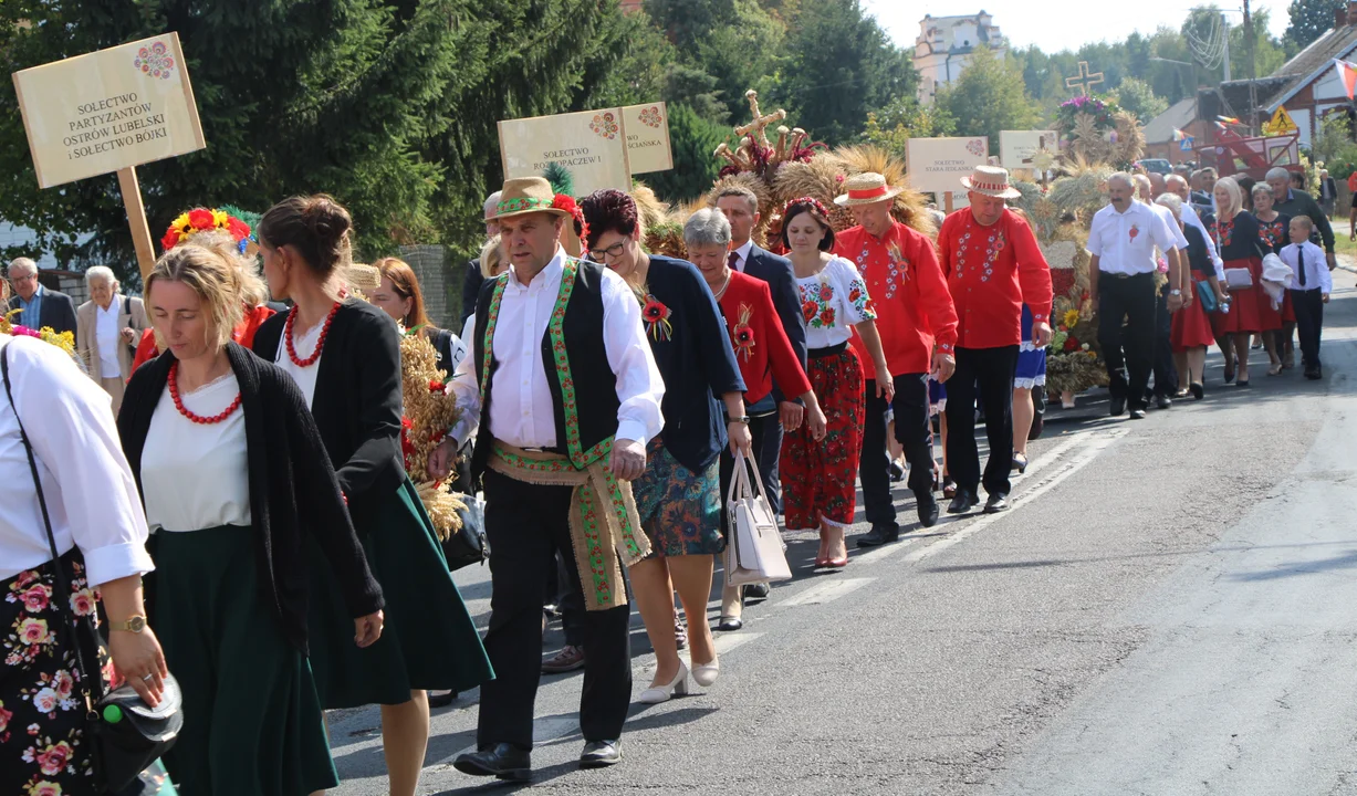 Korowód w Ostrowie Lubelskim