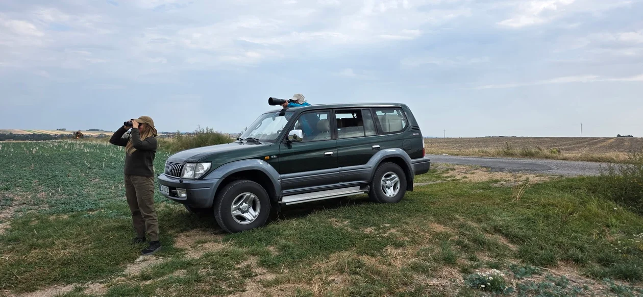 Na Roztoczu zrobili ... safari - Zdjęcie główne